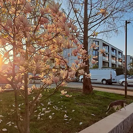 Brisas Sarafovo *